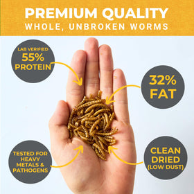 Nature Anywhere Mighty Mealworm bag seal closure highlights easy reclosure after use.