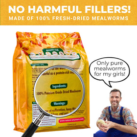 Nature Anywhere Mighty Mealworms chicken feathers glow from protein-rich enrichment imagery.