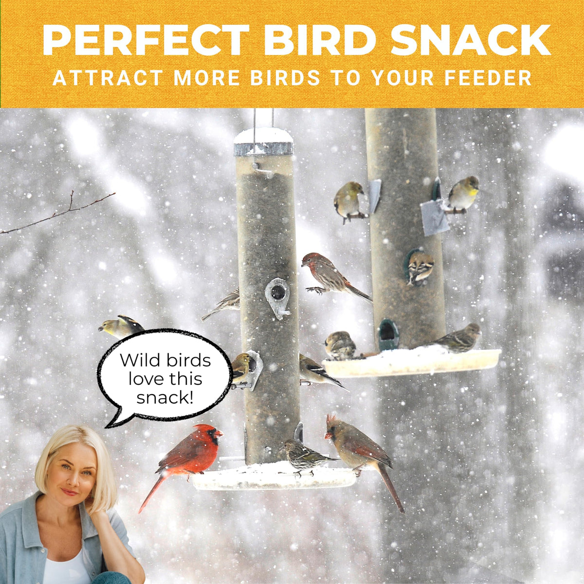 Nature Anywhere Mighty Mealworms winter-protein supplement helps birds stay warm and active.
