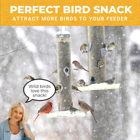 Nature Anywhere Mighty Mealworms winter-protein supplement helps birds stay warm and active.