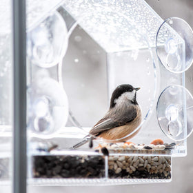 Nature Anywhere suction cups attached in shower or kitchen for a sturdy caddy use.