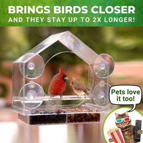 Nature Anywhere clear acrylic feeder attracts garden birds while keeping seeds dry and visible.