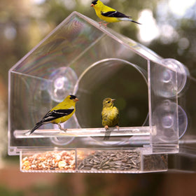 Nature Anywhere easy-clean design makes refills quick without disturbing birds.
