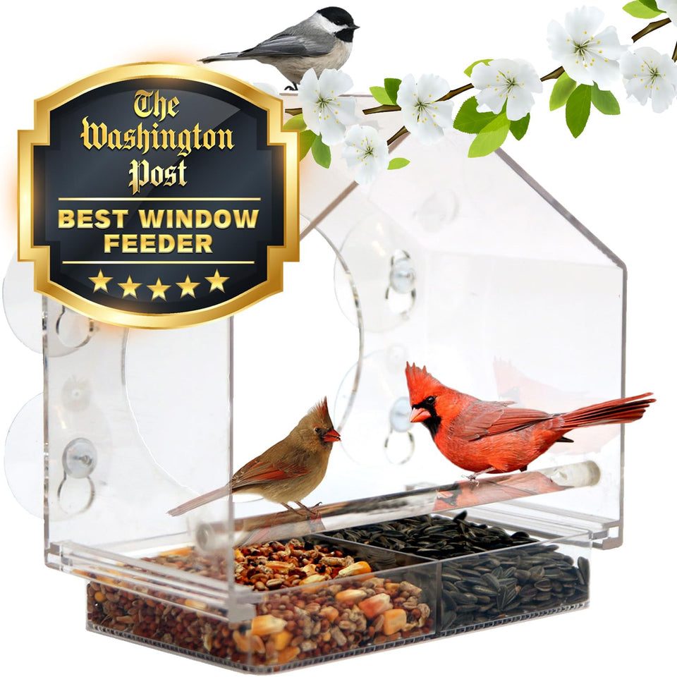 Nature Anywhere window bird feeder front view showing clear acrylic design for indoor birdwatching.