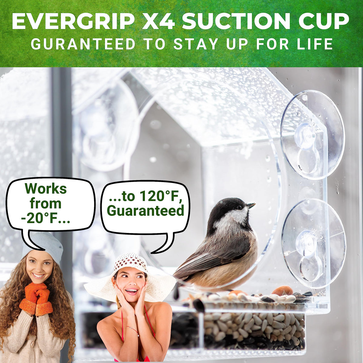 Nature Anywhere weatherproof feeder resists rain and sun, enabling year-round observation.