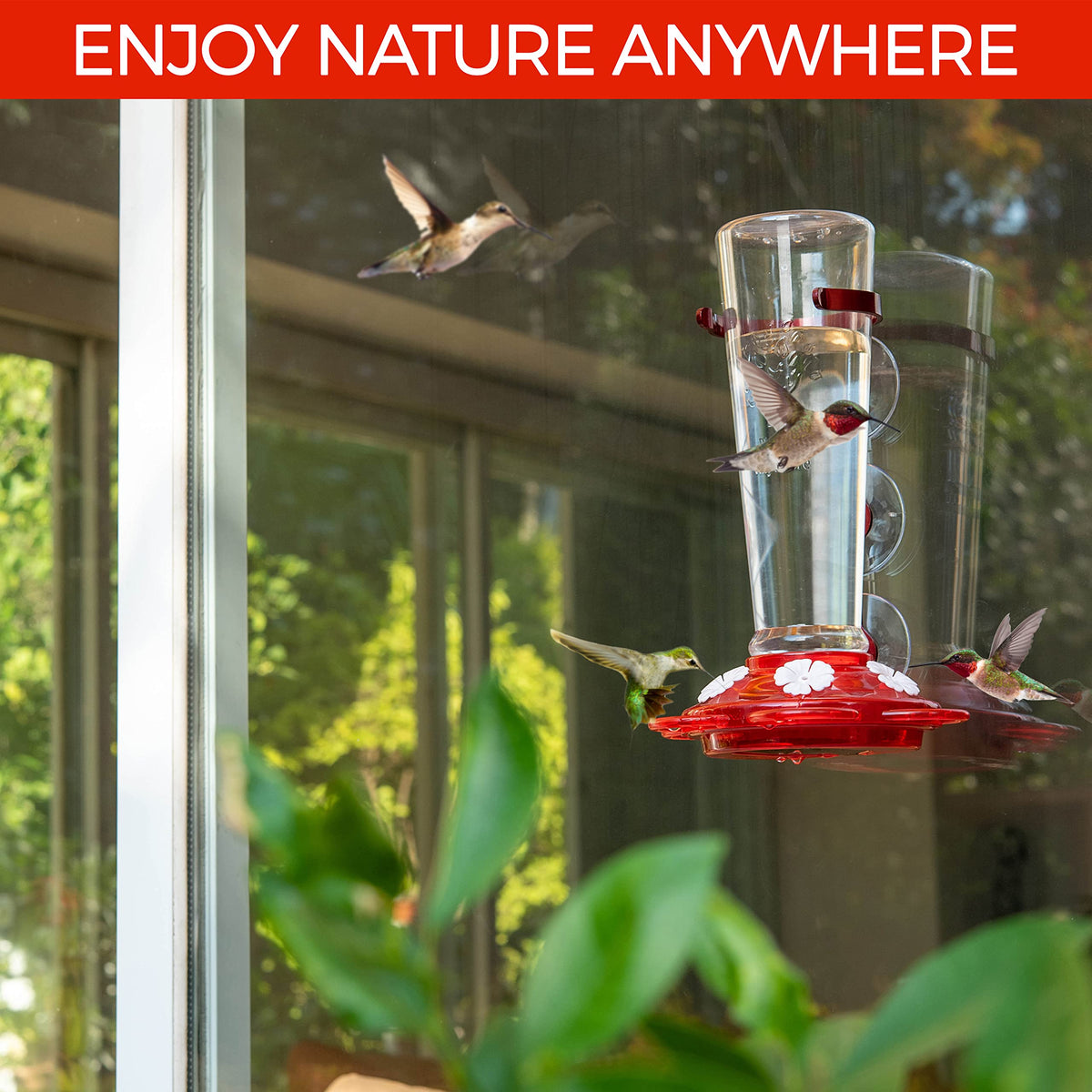 Two-pack packaging supports multi-location viewing or gifting.
