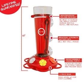 Window viewing brings nature close for peaceful backyard moments.