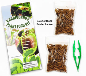 Nature Gift Store indoors setup for carnivorous plants during dormancy.