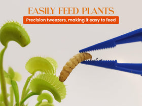 Nature Gift Store resealable bags keep larvae fresh and ready.