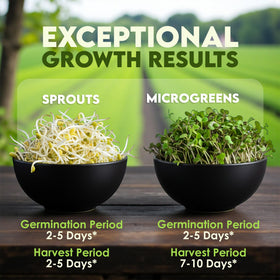 Nature Jim's broccoli sprout seeds with simple instructions for home gardeners