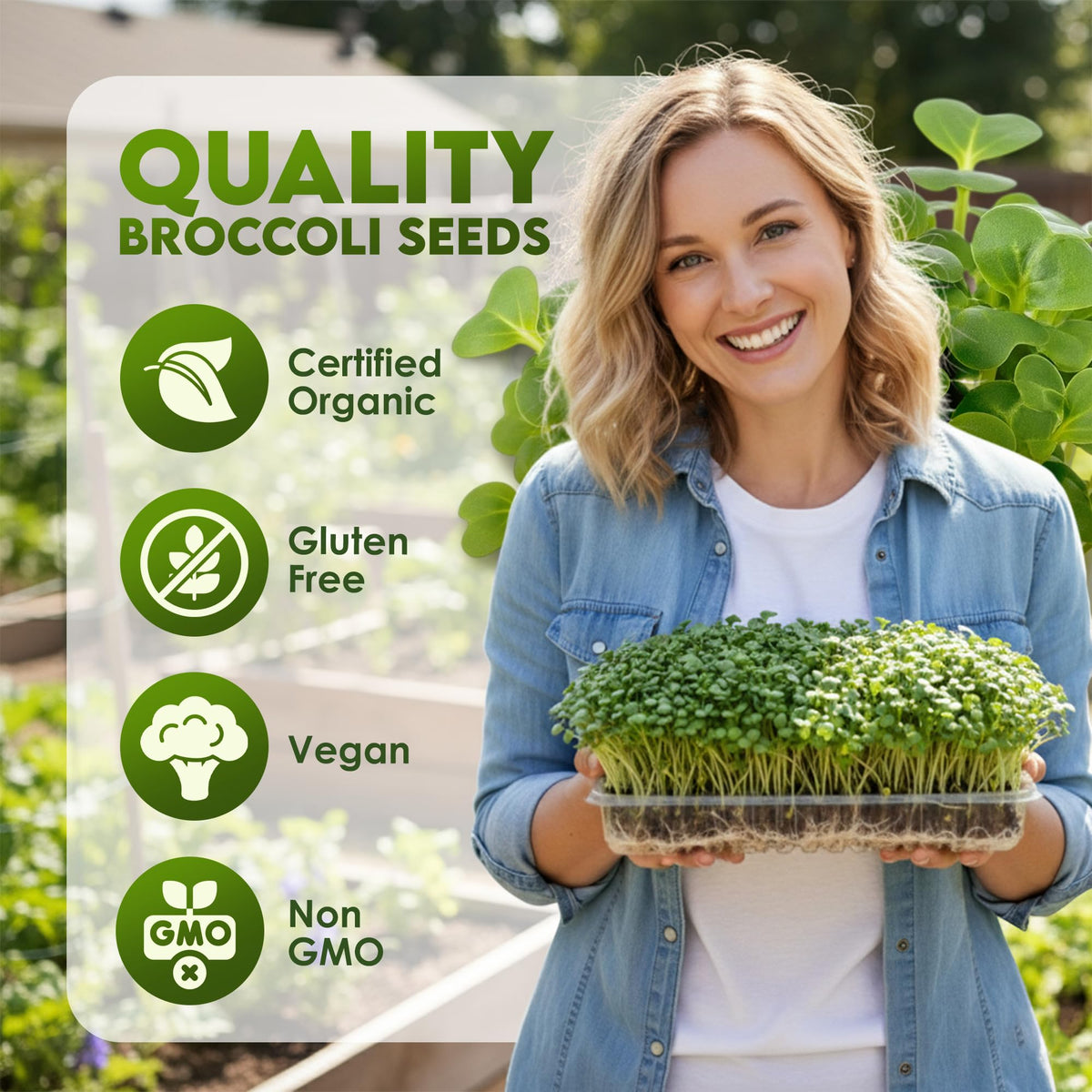 Nature Jim's broccoli sprouting seeds jar for fast indoor microgreens