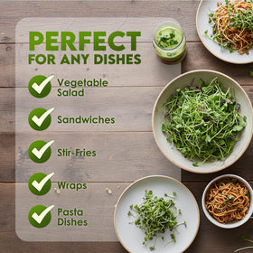 Nature Jim's non-GMO broccoli seeds promote rapid indoor or outdoor sprouting