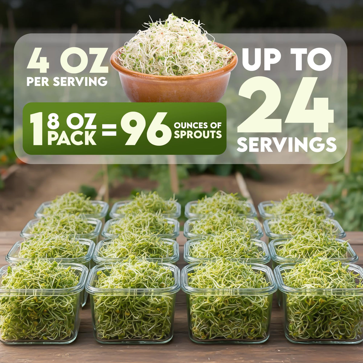 Nature Jim's organic broccoli seed bag for sprouting and nutrient-rich greens