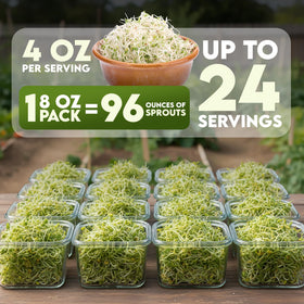 Nature Jim's organic broccoli seed bag for sprouting and nutrient-rich greens