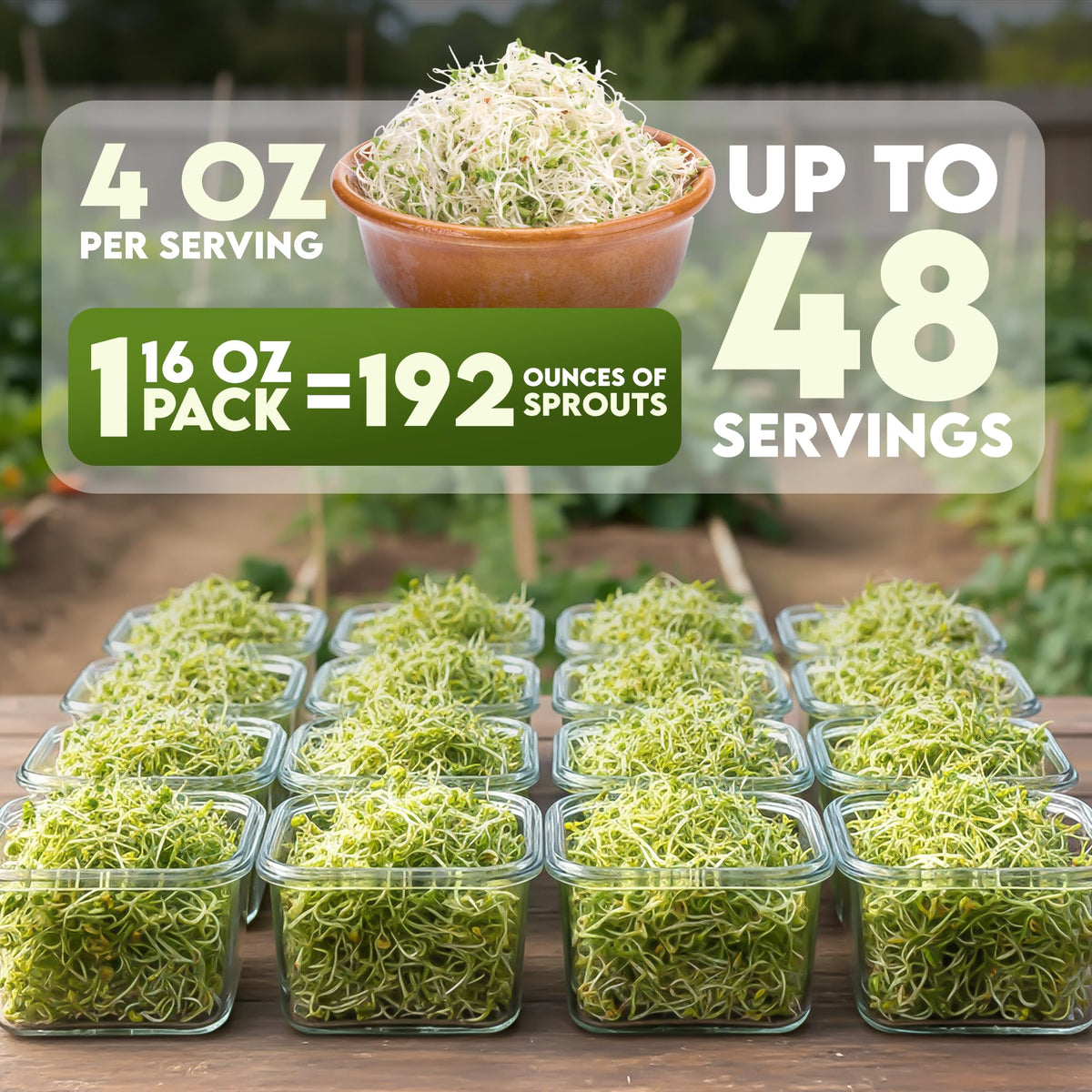 Nature Jims organic radish sprout bundle ready for kitchen microgreens