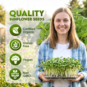 Nature Jims Organic Sunflower Seeds 8oz bag for fresh sprouts.