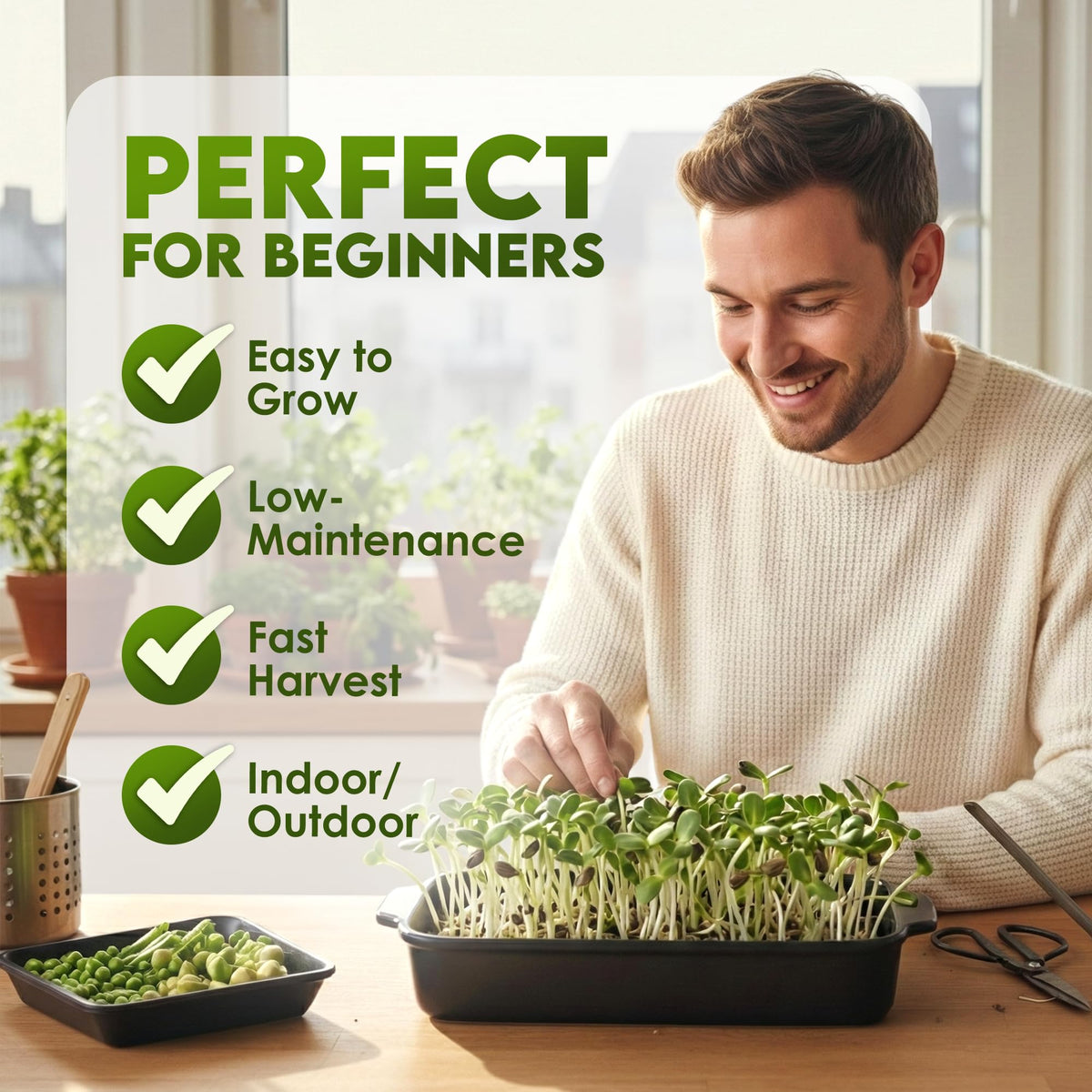 Nature Jims Organic Sunflower Seeds in Salad Preparation, adding fresh flavor.