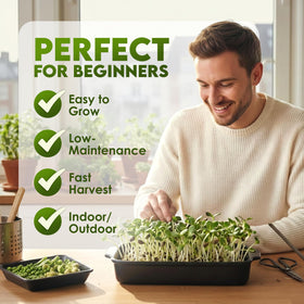 Nature Jims Organic Sunflower Seeds in Salad Preparation, adding fresh flavor.