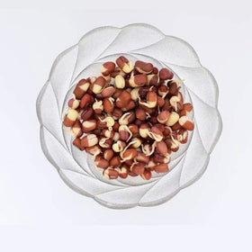 Nature Jim's Sprouts 3-Bean Seed Mix garden scene, indoor/outdoor versatility.