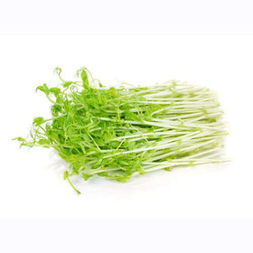 Nature Jim's Sprouts 3-Bean Seed Mix measuring cup for precise planting.