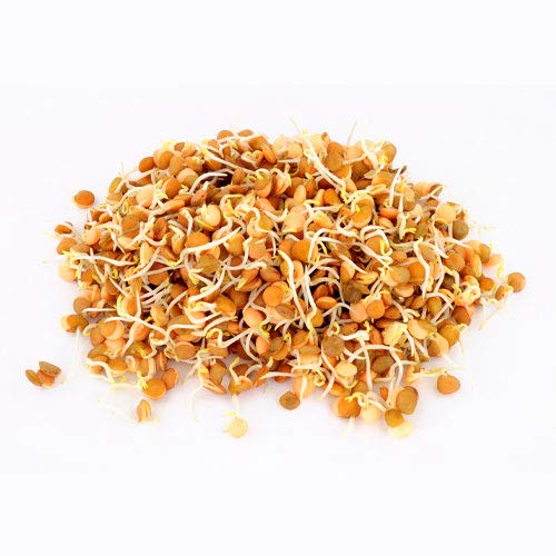 Nature Jim's Sprouts 3-Bean Seed Mix organic-label highlights non-GMO USA-grown seeds.