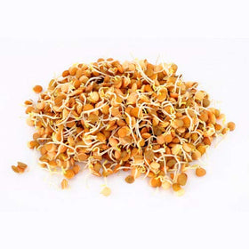 Nature Jim's Sprouts 3-Bean Seed Mix organic-label highlights non-GMO USA-grown seeds.
