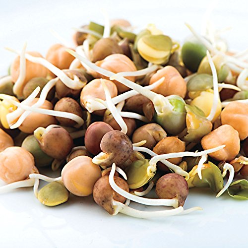 Nature Jim's Sprouts 3-Bean Seed Mix USA-grown badge signals quality.