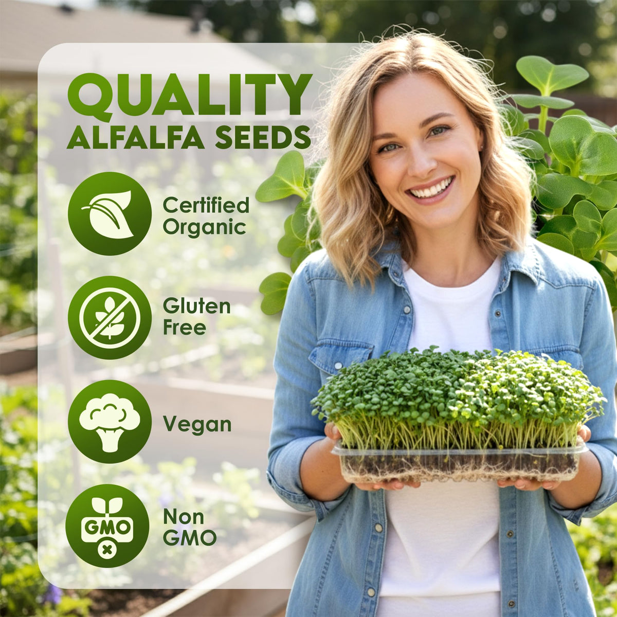 Nature Jims Sprouts alfalfa seeds close-up showing non-GMO quality.