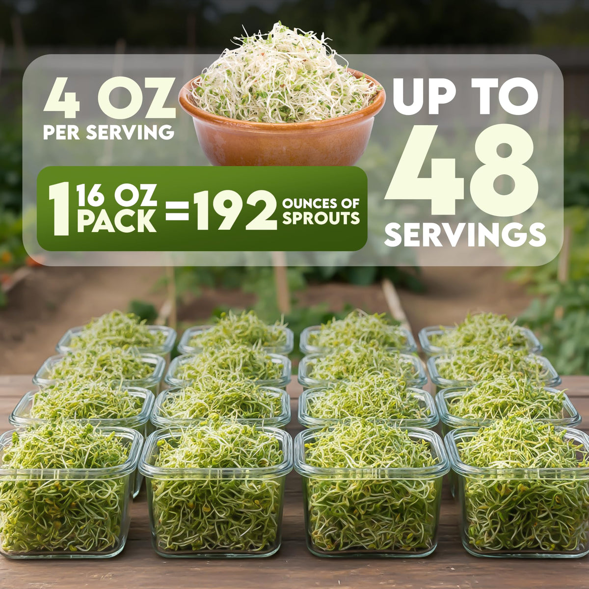 Nature Jims Sprouts clover seeds in hand ready for home sprouting