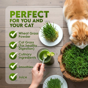 Nature Jims Sprouts USA-made packaging highlights long lasting freshness