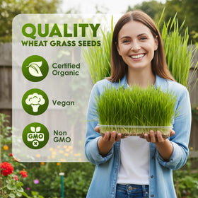 Nature Jims Sprouts resealable bag showcasing organic non-GMO seeds for planting