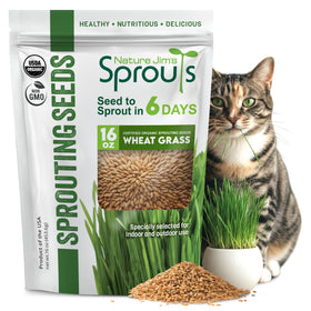 Nature Jims Sprouts wheatgrass seeds bag front view ideal for home sprouting