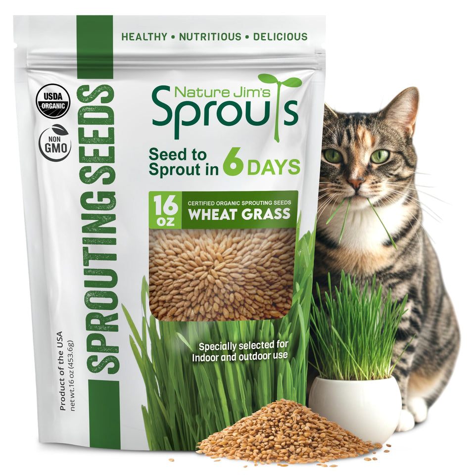 Nature Jims Sprouts wheatgrass seeds bag front view ideal for home sprouting