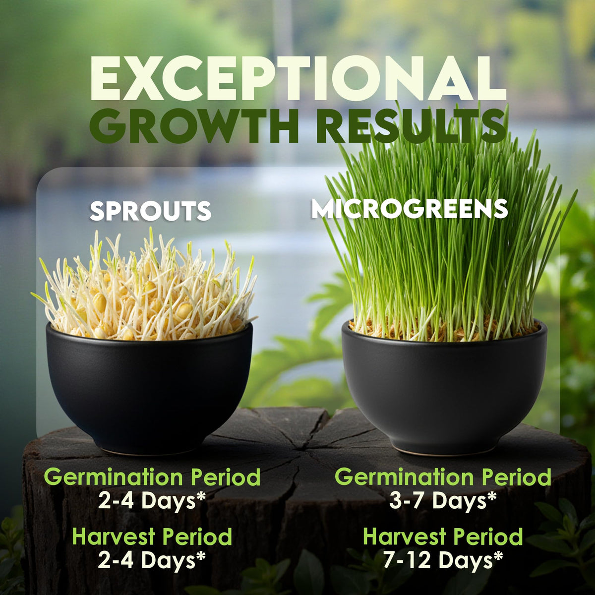 Nature Jims Sprouts nutrient-rich seeds emphasizing vitamins minerals and fiber