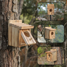 NATUREYLWL bird house entrance diameter 9/10 inch for hummingbirds.