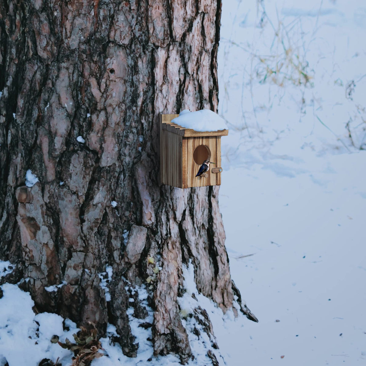 NATUREYLWL easy-hang bird house for quick garden setup.