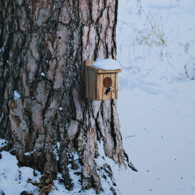 NATUREYLWL easy-hang bird house for quick garden setup.