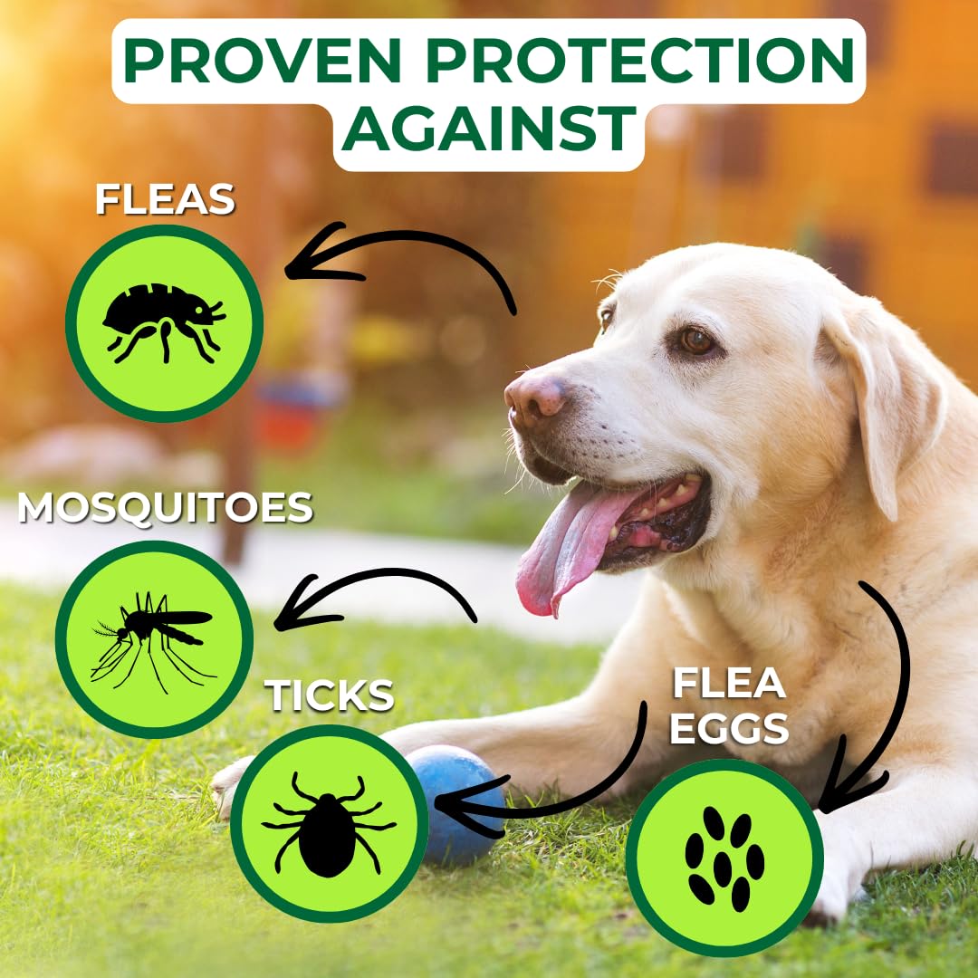 Nature's Dome after-rain reapplication supports ongoing outdoor pest prevention