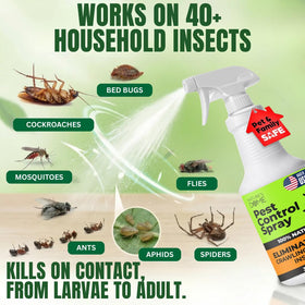 Nature's Dome with eco-friendly ingredients for responsible pest control.