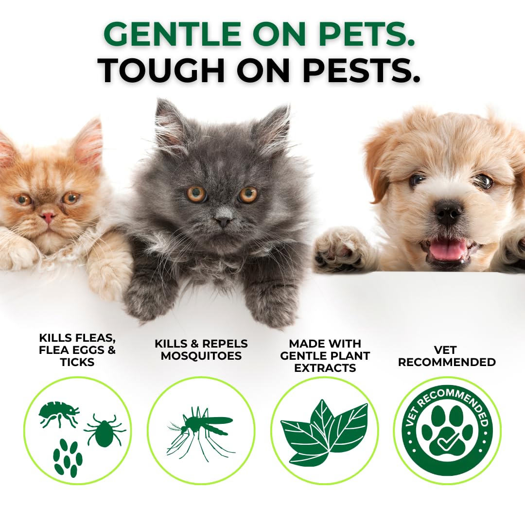 Nature's Dome spray is safe for pets, kids, and plants