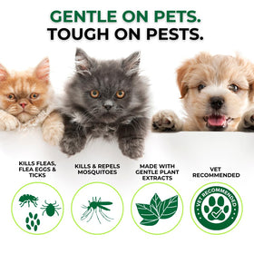 Nature's Dome spray is safe for pets, kids, and plants