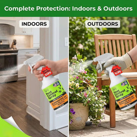Nature's Dome spray on ants for fast contact kill and immediate action.