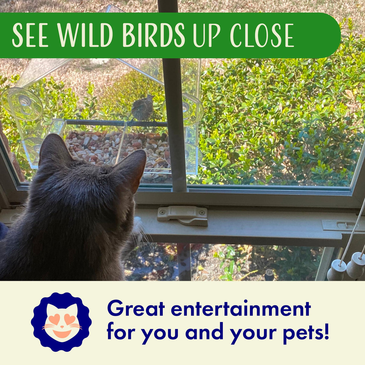 Nature's Hangout squirrel-proof feeder deters climbers with drip holes to keep seeds dry.
