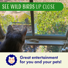 Nature's Hangout squirrel-proof feeder deters climbers with drip holes to keep seeds dry.