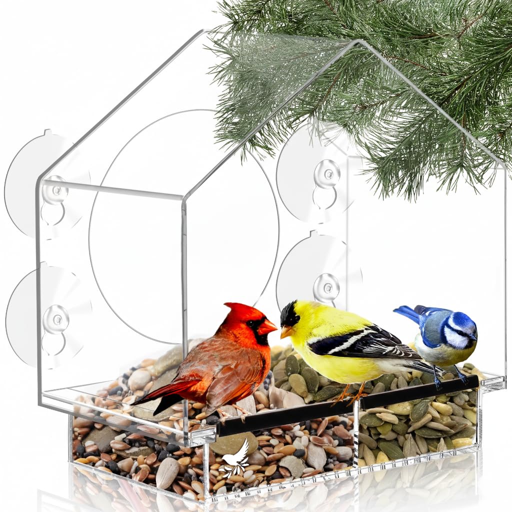 Nature's Hangout clear window bird feeder with strong suction cups for steady viewing.