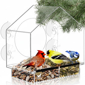 Nature's Hangout clear window bird feeder with strong suction cups for steady viewing.