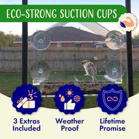 Nature's Hangout simple-clean design for quick maintenance by families.