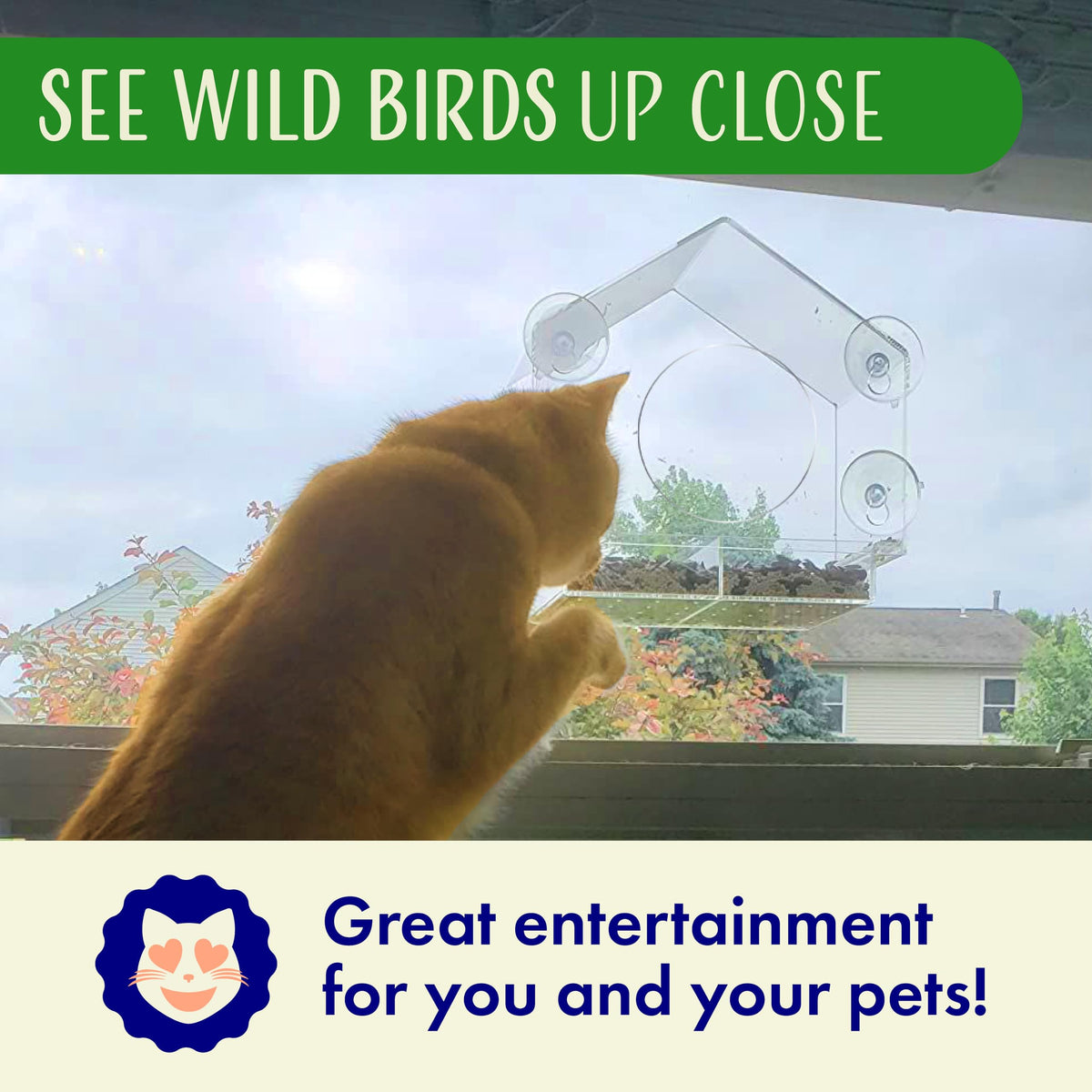 Nature's Hangout gift-pack window bird feeder ideal for bird lovers and kids.