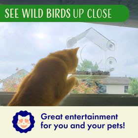 Nature's Hangout gift-pack window bird feeder ideal for bird lovers and kids.