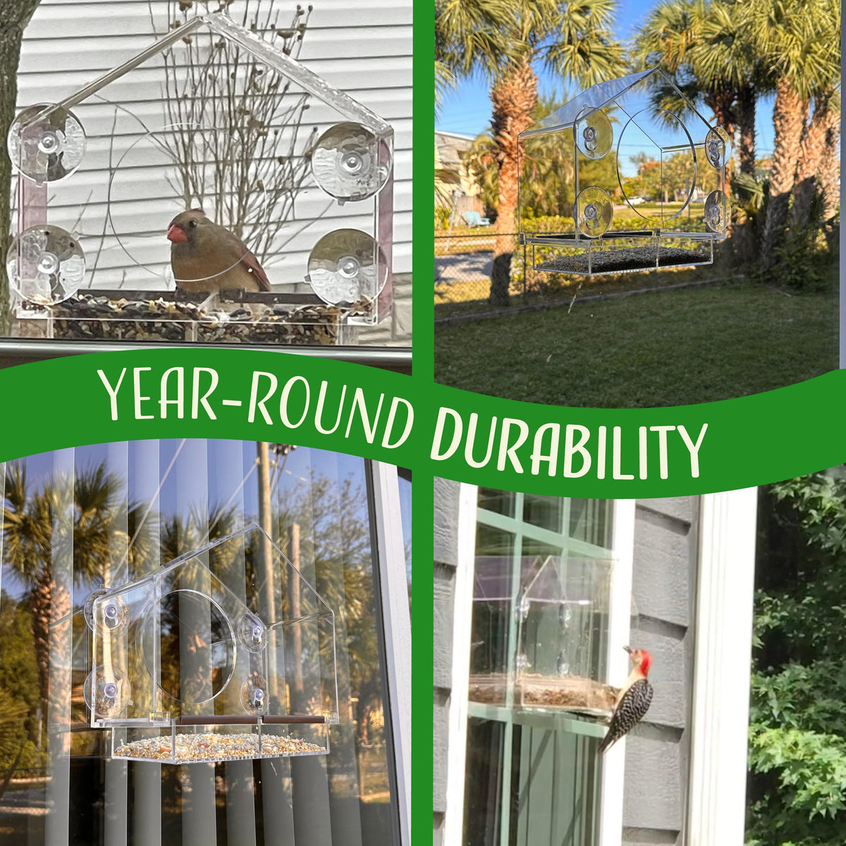 Nature's Hangout suction cup attachment providing secure, all-day hold.